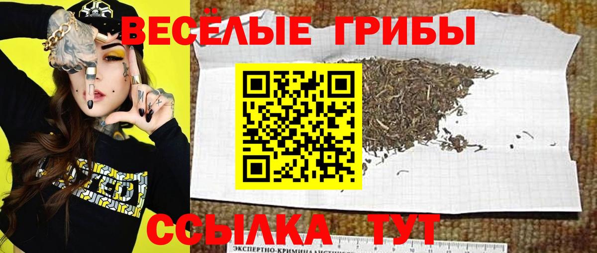 Псилоцибиновые грибы MAGIC MUSHROOMS  Вход с VPN  цены   Борзя  Галлюциногенные грибы Cubensis 